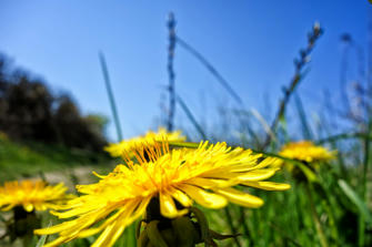 025-Stevns Klint.jpg