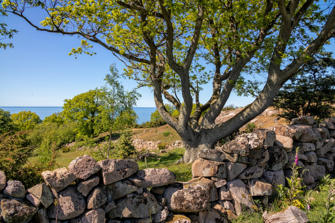 032-Denmark.jpg