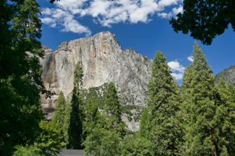236 Yosimite NP.jpg