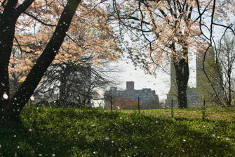 047 Central Park.jpg