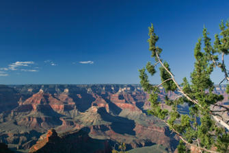 133 Grand Canyon.jpg