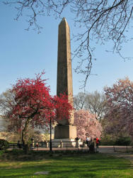 055 Central Park.jpg