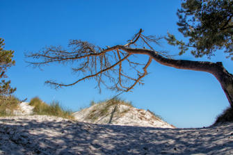 012-Denmark.jpg