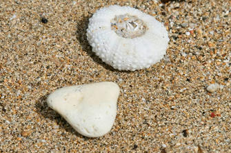 076 plage de la perle.jpg