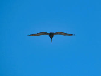 040 room with a view.jpg